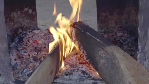 Close Bonfire Slow Motion — Stock video