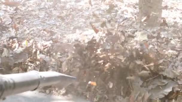 Close Dry Leaf Blower Slow Motion — Stock Video