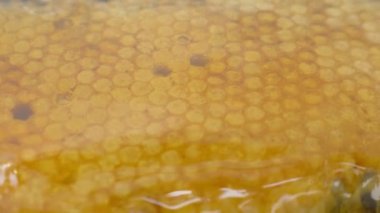 Arı kovanında taze bal.