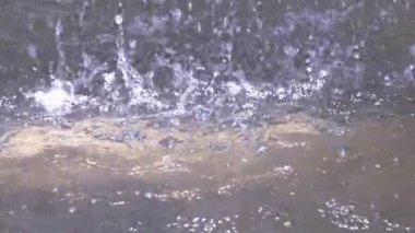 Çeşme havuzunda yavaş su damlaları.