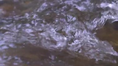 Vahşi dağ nehri taştan kayaların arasından akıyor, akarsu ormanın derinliklerinden akıyor, ağır çekim.
