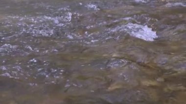 Vahşi dağ nehri taştan kayaların arasından akıyor, akarsu ormanın derinliklerinden akıyor, ağır çekim.