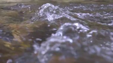 Vahşi dağ nehri taştan kayaların arasından akıyor, akarsu ormanın derinliklerinden akıyor, ağır çekim.