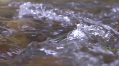 Vahşi dağ nehri taştan kayaların arasından akıyor, akarsu ormanın derinliklerinden akıyor, ağır çekim.