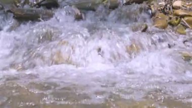 Mountain Forest Creek 'te akan kristal berrak suyun videosunu kapat. Küçük su damlaları, güneşli bahar günü