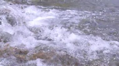 Vahşi dağ nehri taştan kayaların arasından akıyor, akarsu ormanın derinliklerinden akıyor, ağır çekim.