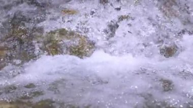 Vahşi dağ nehri taştan kayaların arasından akıyor, akarsu ormanın derinliklerinden akıyor, ağır çekim.