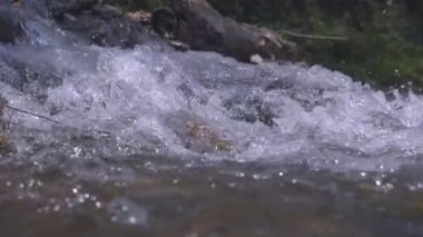 Vahşi dağ nehri taştan kayaların arasından akıyor, akarsu ormanın derinliklerinden akıyor, ağır çekim.