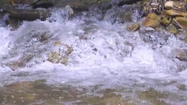 Vahşi dağ nehri taştan kayaların arasından akıyor, akarsu ormanın derinliklerinden akıyor, ağır çekim.