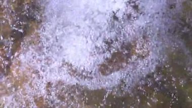 Vahşi dağ nehri taştan kayaların arasından akıyor, akarsu ormanın derinliklerinden akıyor, ağır çekim.