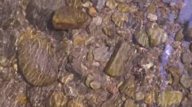 Vahşi dağ nehri taştan kayaların arasından akıyor, akarsu ormanın derinliklerinden akıyor, ağır çekim.