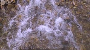 Vahşi dağ nehri taştan kayaların arasından akıyor, akarsu ormanın derinliklerinden akıyor, ağır çekim.