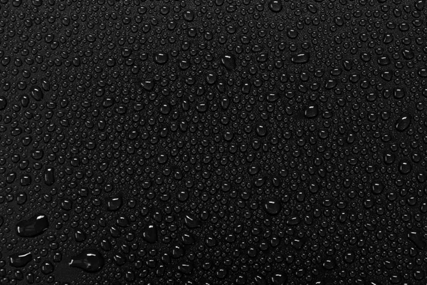 Vízcseppek Fekete Háttérrel — Stock Fotó