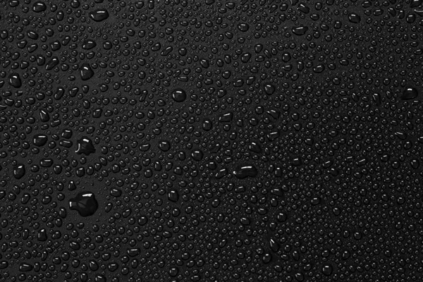 黒い背景の水滴 — ストック写真