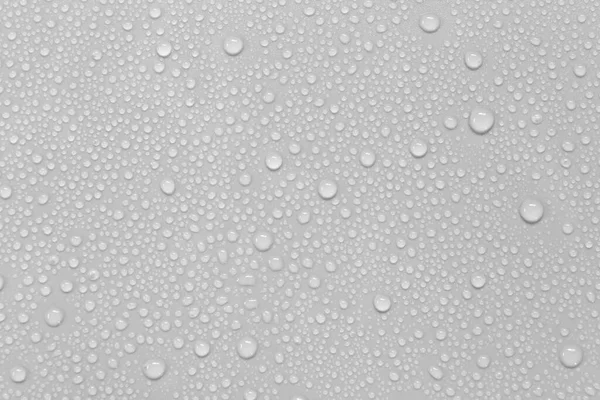 Water Droplets Gray Background — Stock Photo, Image