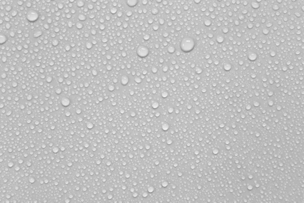 Waterdruppels Een Grijze Achtergrond — Stockfoto