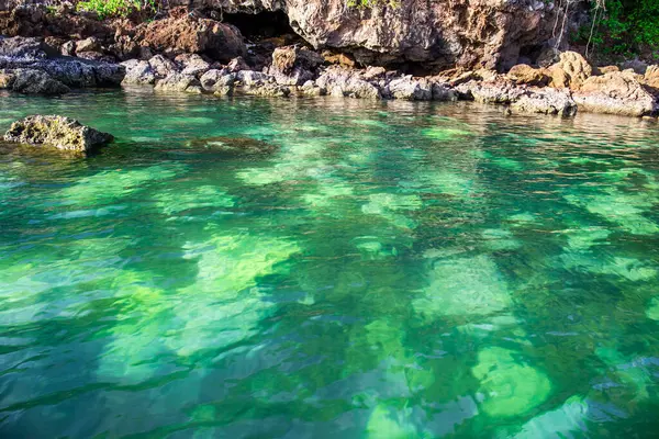 stock image Coral bleaching under blue water. This coral bleaching event is caused by rising sea temperatures.