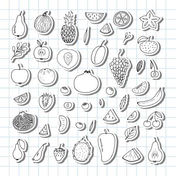 Grande Conjunto Frutas Desenhadas Mão Ícones Bagas Coleção Frutas Verão — Vetor de Stock