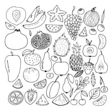 Elle çizilmiş meyve ve böğürtlen ikonları. Yaz meyveleri koleksiyonu. Çizim, karalama tarzı. Vektör illüstrasyonu
