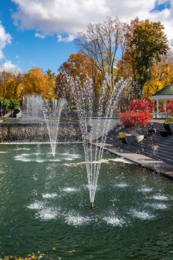 Shevchenko Şehir Bahçesi 'nin dinlenme alanındaki kırmızı sonbahar ağaç dalları ve çeşmeleri. Central City Park 'taki turistik ilgi merkezi, Kharkiv Ukrayna