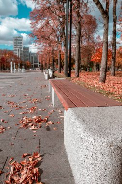 Sonbahar renkli şehir hayatı. Ukrayna 'nın başkenti Kharkiv' de bulunan Derzhprom binasının yakınındaki Özgürlük veya Svobody Meydanı 'ndaki modern dinlenme yerinde sokak bankı.