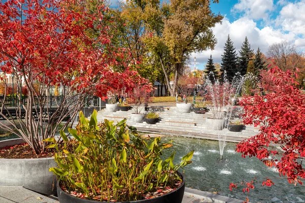 Fountains in Shevchenko City Garden with red autumn trees and lotus pond. Tourist attraction in central city park, Kharkiv Ukraine