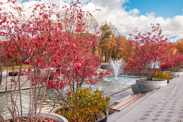 stock image Fountains in autumnal Shevchenko City Garden with red autumn trees. Tourist attraction in central city park, Kharkiv Ukraine