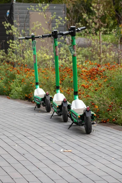 Location Scooters Électriques Debout Dans Parc Centre Ville Automne Scooter — Photo