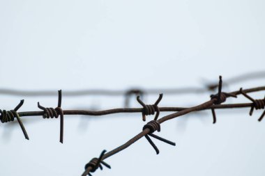 Barbed metal wire on gray with blurry background. Barbwire lines close-up clipart