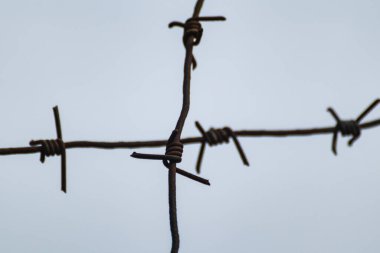 Gri arka planda dikenli metal tel çapraz çekim. Sınır koruma çiti, yasak giriş