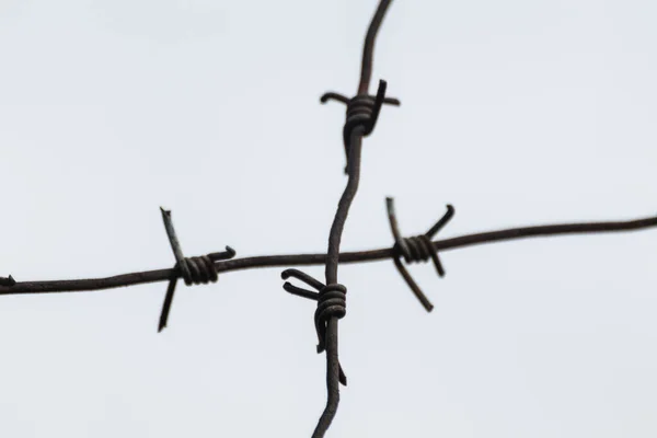 stock image Barbed metal wire cross close-up on gray background. Protection barbwire steel fence