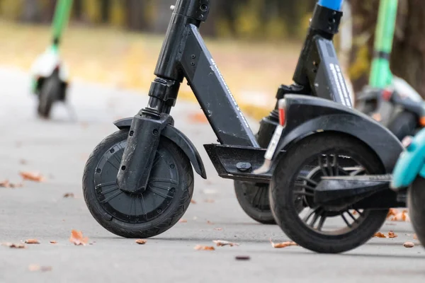 stock image Green Electric Scooter rental standing in city park. E-scooter wheels close-up, popular modern transportation. Low angle