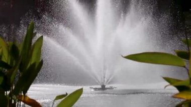 Dinlenme alanındaki bir gölün üzerinde nilüfer yapraklı parlak bir çeşme. Central City Park 'taki turistik ilgi merkezi, Kharkiv Ukrayna