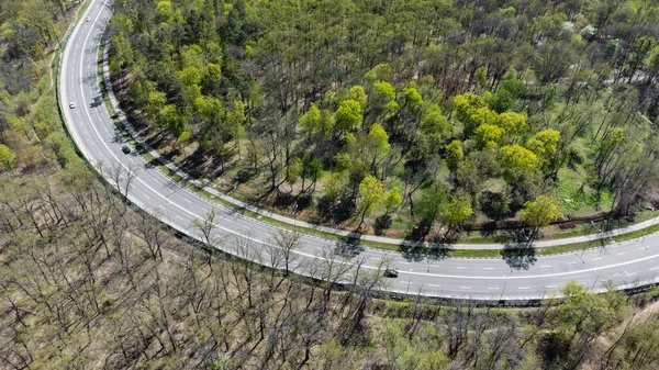 Fly above spring road curve in greenery. Cars driving sunny highway surrounded by forest with young green leaves. Aerial look down view