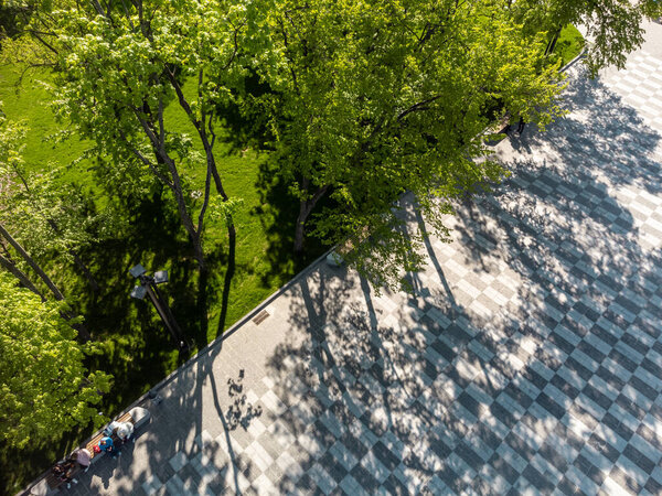 Look down aerial view on tiled walking street, square with green spring trees shadow in recreation park. City patterns