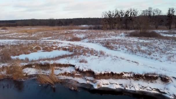 Vinter Antenn Landsbygd Dolly Snöig Flod Dal Zmijevskij Regionen Siverskyi — Stockvideo