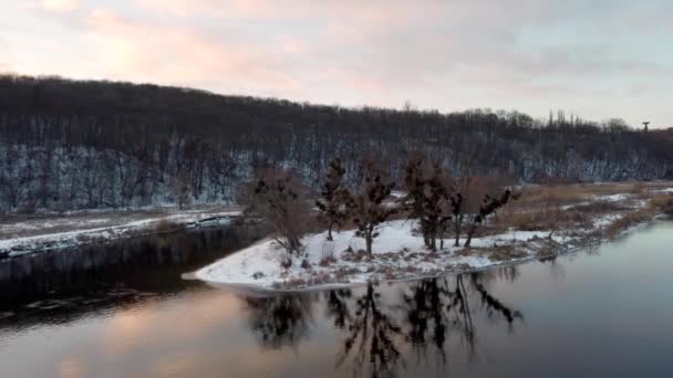 Vinterflod Antenn Med Naturskön Spegel Reflektion Nakna Träd Snöig Kust — Stockvideo
