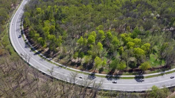 Vista Aérea Curva Calle Primavera Vegetación Coches Conduciendo Carretera Soleada — Vídeo de stock