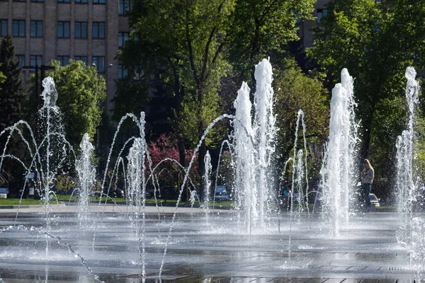 Çeşmeler Kharkiv şehir merkezindeki Özgürlük Meydanı 'na yakın çekim yapıyor. İlkbaharda turistik bölge
