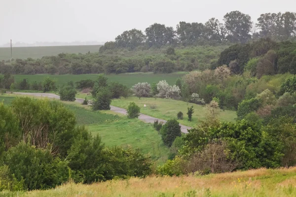 Landelijk Groen Voorjaar Oekraïne Platteland Groene Heuvel Met Oprit Tarwevelden — Stockfoto