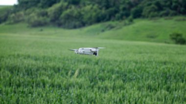 Kharkiv, Ukrayna - 15 Haziran 2021: Dji Mini 2 insansız hava aracı, orman yakınlarındaki yeşil buğday tarlası üzerinde uçuyor. Bulanık yeşillik arkaplanı olan dört kopter aygıtı