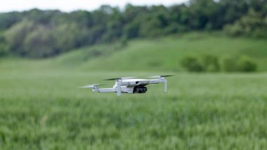 Kharkiv, Ukrayna - 15 Haziran 2021: Dji Mini 2 insansız hava aracı, genç yeşil buğday tarlalarında ve ağaçlarda uçuyor. Quadcopter aygıtı bulanık yeşillik arkaplanı ile havada asılı