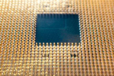 İşlemci mikroçipli altın raptiyeler yakın planda. Bulanık arkaplan ile masaüstü bilgisayar işlemci birimi detayları