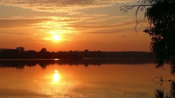 Soarele Aur Strălucind Răsăritul Soarelui Lac Cerul Reflectându Suprafața Calmă — Videoclip de stoc