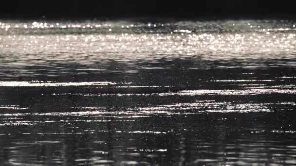 日没の晴れた日のスローモーション映像 光り輝く湖水の波が近づいています 日光浴の背景を持つ深い着色された水 — ストック動画