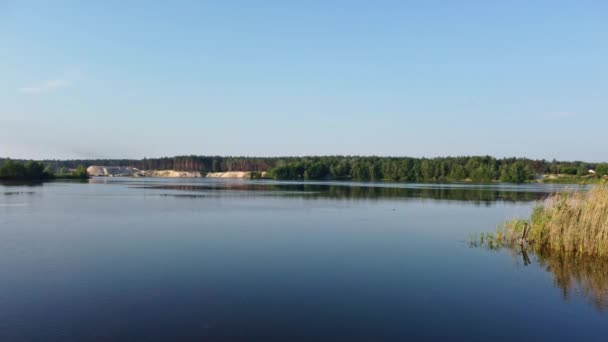 空中阳光明媚的蓝色湖泊 水面上的树木和芦苇反射镜 快速的弧形飞行镜头 — 图库视频影像