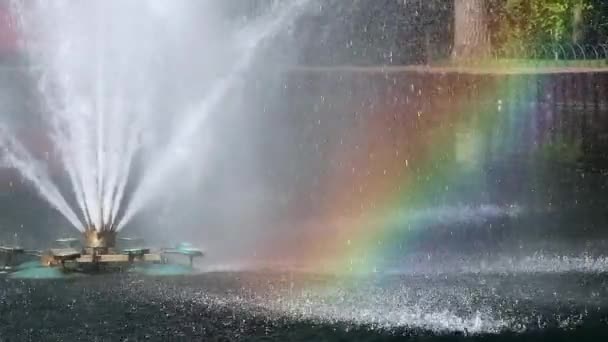 乌克兰哈尔科夫市中心城市公园娱乐区的一个湖面上闪烁着灿烂的彩虹光芒的喷泉 — 图库视频影像