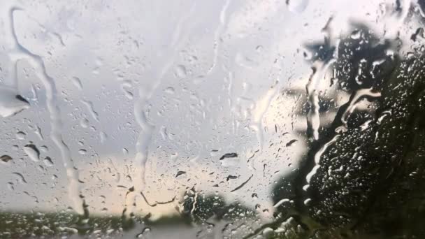 Deszcz Szybę Przednią Krople Zbliżenie Zachmurzonym Nieostrym Tle Moody Deszczowy — Wideo stockowe
