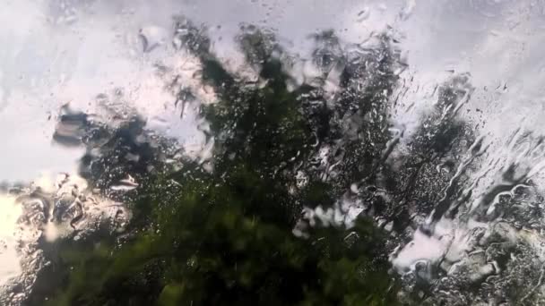 Deszcz Szklane Okno Patrzenie Przez Krople Wody Zamazanym Drzewem Tle — Wideo stockowe
