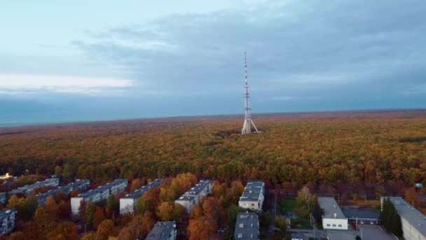 Letecký Let Vpřed Záběry Podzimní Město Telekomunikační Věží Barevném Lese — Stock video